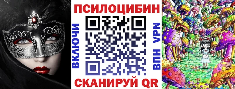 Галлюциногенные грибы Cubensis  продажа наркотиков  Сураж 